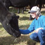 heather smith thomas with a beef cow