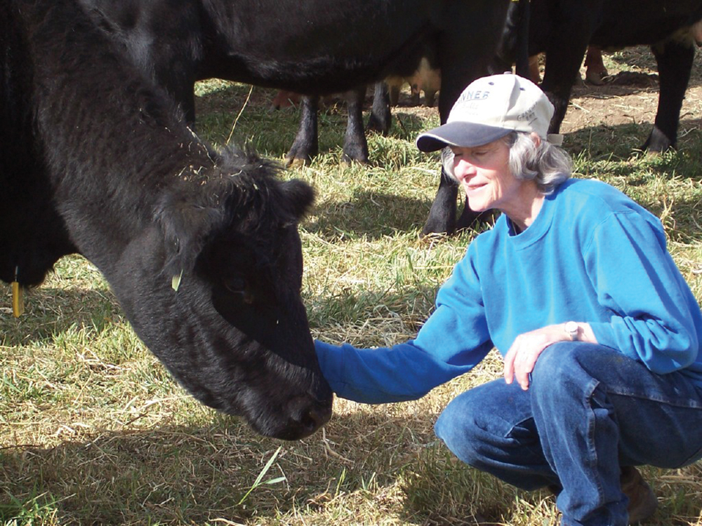 heather smith thomas with a beef cow