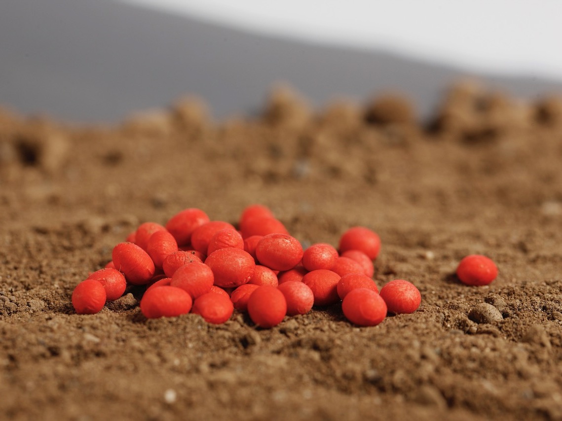 Pitura becomes NK soy’s supplier
